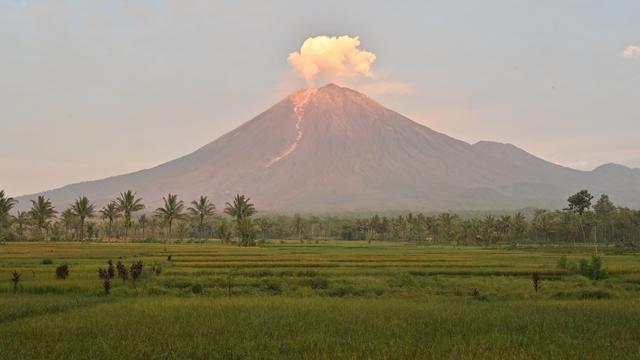 Gunung Semeru berstatus siaga sejak Desember 2021. Foto: AFP